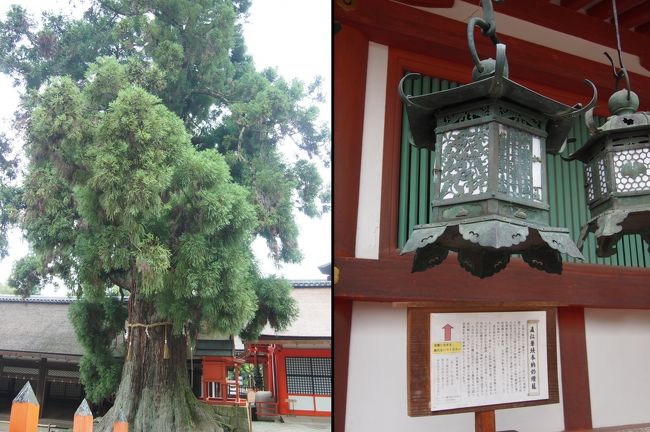 直江兼続奉納の燈籠がかかってました