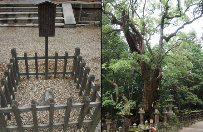 南門の前には【神石】がありました