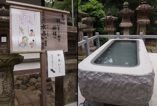商売繁盛・縁結びの神様、その前では水占いが出来ます