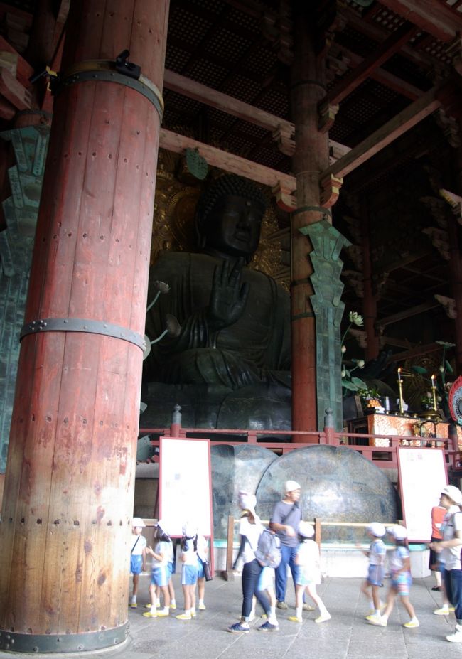 人と比較すれば大きさ分かるかしら？