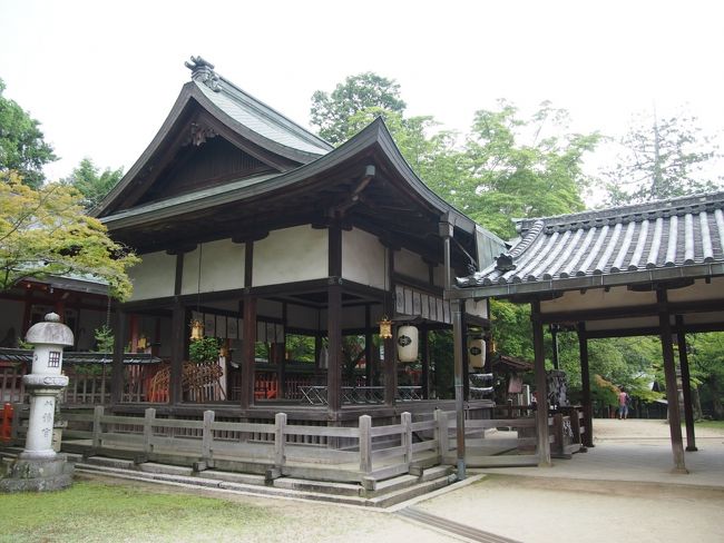 東大寺は２年前に来て、記憶に新しい所でしたが、<br />またココに来ることが出来て良かったです＾＾