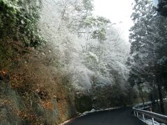 高野山は雪模様らしいですが、晴れ間が見えるので大丈夫だろうと思い、ひたすら国道を上って行きました。
途中の木々に積もった雪景色が非常に綺麗でした。