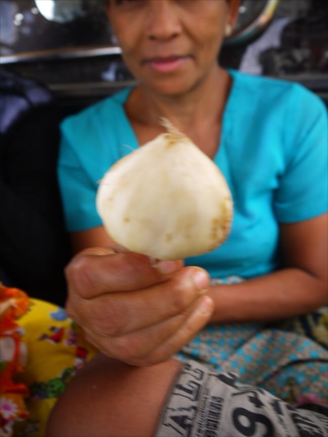 荷台の向かいのおばさんが大きなニンニクみたいな皮を剥いてひとつくれた。水分のない梨のような果物で名前はサイザーウッ。そういえばこれサパの村でも貰って食べたなあ。
