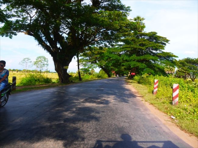 途中から西日が強くなり反対側の席に非難。腰も背中もそろそろ限界。