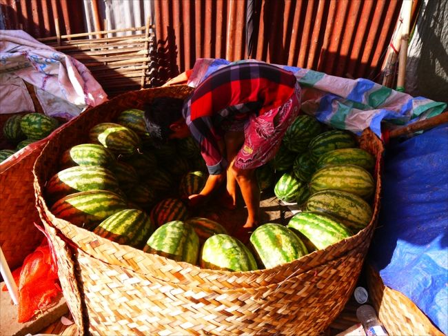 楕円のスイカも丸くきれいに並べて、この後どうするんだろう？