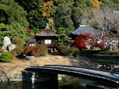 常光明真言殿の隣に広がるのは名勝庭園。江戸時代の造営だそうです。
