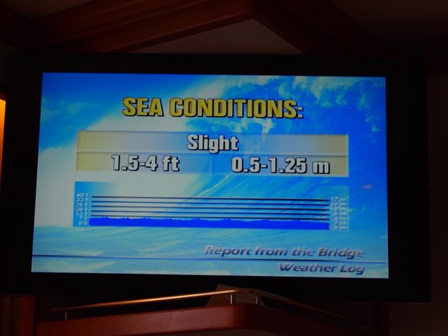 部屋のテレビで海の状況や航路を見ることができます。<br />