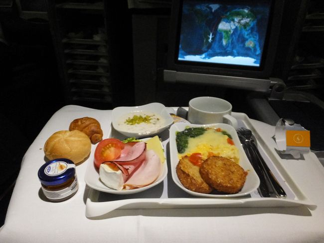 まっ、日本出発便のごはんの方美味しいかな…