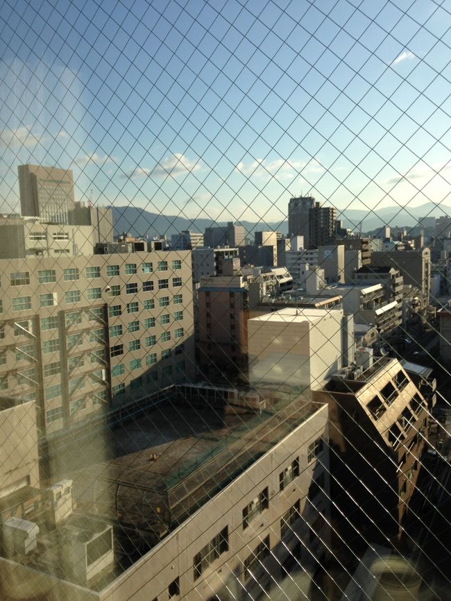 翌朝、部屋から見える景色。