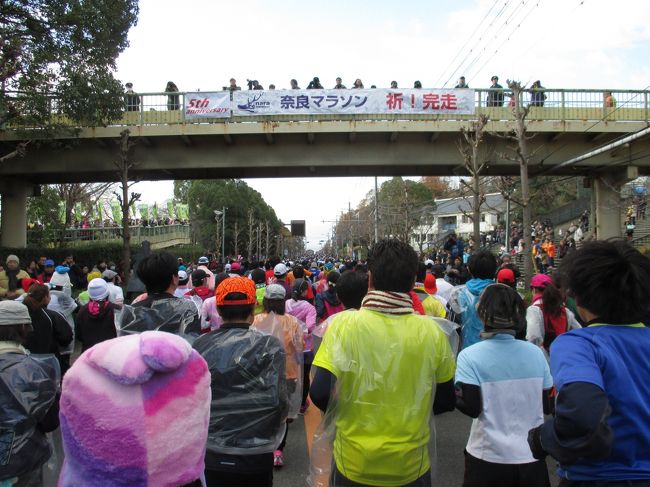 奈良市鴻ノ池陸上競技場