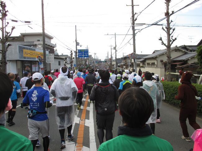 奈良市鴻ノ池陸上競技場を発って<br />近鉄奈良駅方向に向かいます。