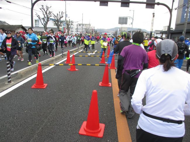 平城宮跡<br />朱雀門を過ぎて<br />二条大路の5キロ地点の折り返しです。