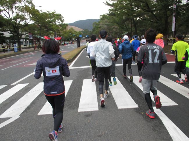 近鉄奈良駅前から興福寺まで急な登りにかかります。