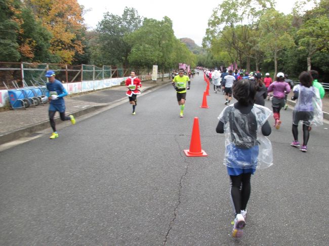 通常は入れない<br />天理高校のグラウンドがある施設内を走ります。