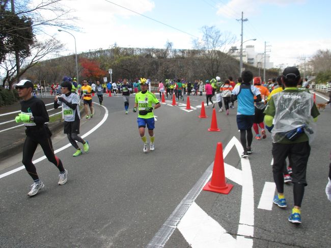 白川大橋手前<br />往路20キロ地点