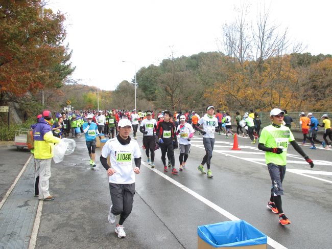 天理教、教祖様の墓苑前。<br />給水所があります。