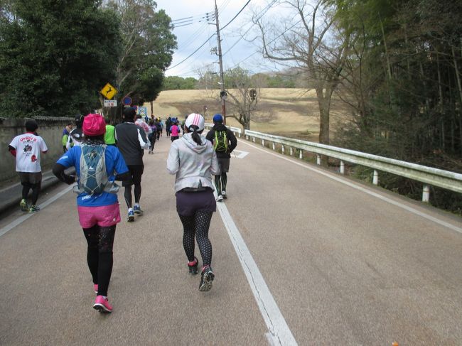 高畑町から坂を下って奈良公園が見えてきました。