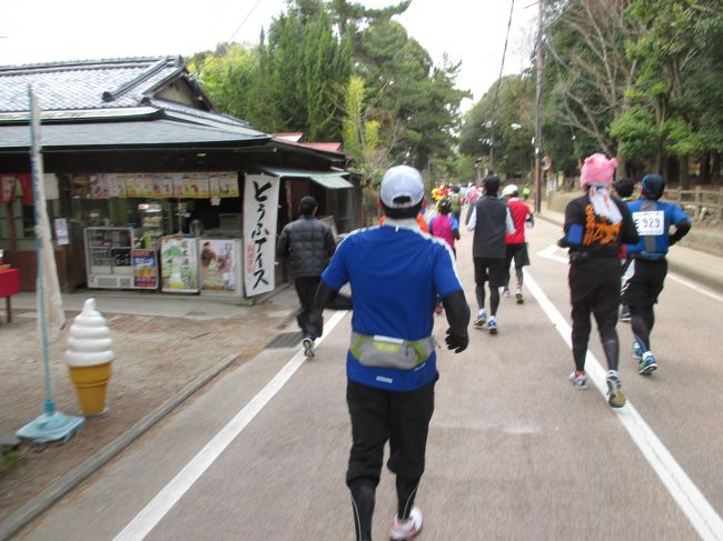 奈良公園<br />春日大社付近