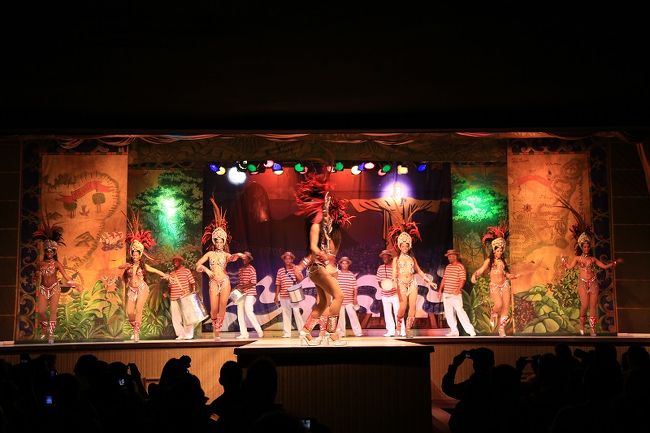 ④夕食後、情熱的な本場のサンバショーを見に行きました。<br />　きらびやか衣装、またステージの下で踊る女性のヒップの位置の高さにビックリしました。<br />