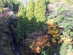 幻の滝（小沢又の滝）
結構急な階段を降りた谷底に滝はあります。茶屋で入場料を払って、谷底へ。