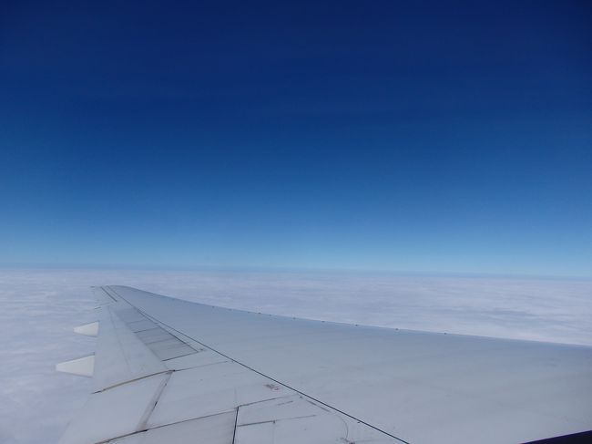 雨の台北を出発し、成田空港に向かいます。<br />分厚い雲の上はこんなに素敵な青空。<br /><br />まさか成田到着直前にものすごく揺れる事になるとは…。この時は想像していませんでした。<br /><br />到着してみたら、かなり寒い東京。。。<br />あー。台湾に引き返したいです。