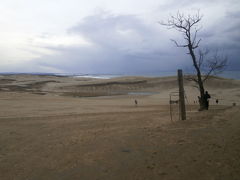鳥取砂丘到着です

数日前のニュースでは　一面雪で　砂丘か雪景色かわからない状態だったのですが

週末の雨で雪が解けて砂丘に戻ってました