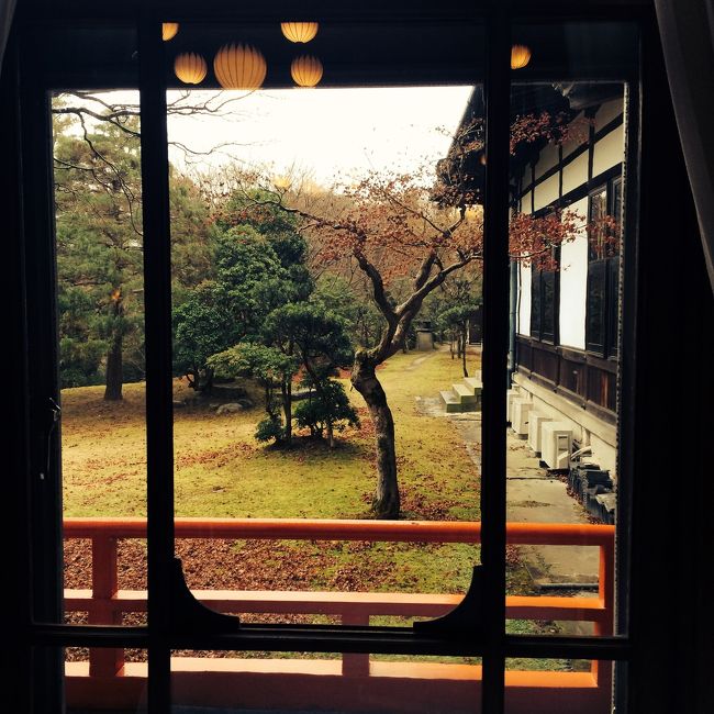 窓から見える庭が美しいです。