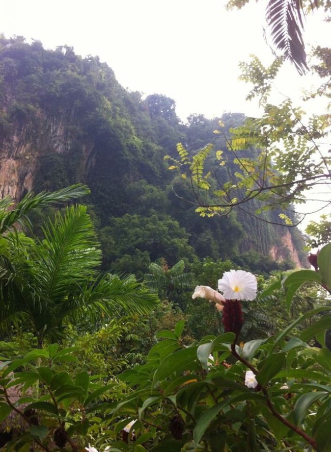 ホテルはザ・バンジャラン・ホットスプリング・リトリートに泊まりました。<br />タクシーで25分くらいかかるところにあり、緑に囲まれた気持ちの良い環境です。