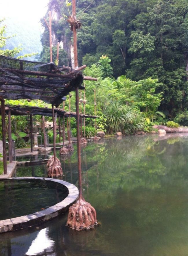 温泉が湧いています。