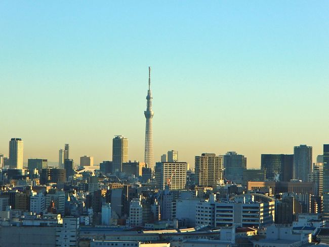 リバービュールームの眺め<br />「朝日に輝く　スカイツリー」