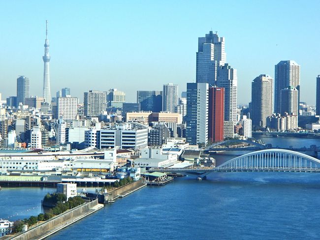 リバービュールームの眺め