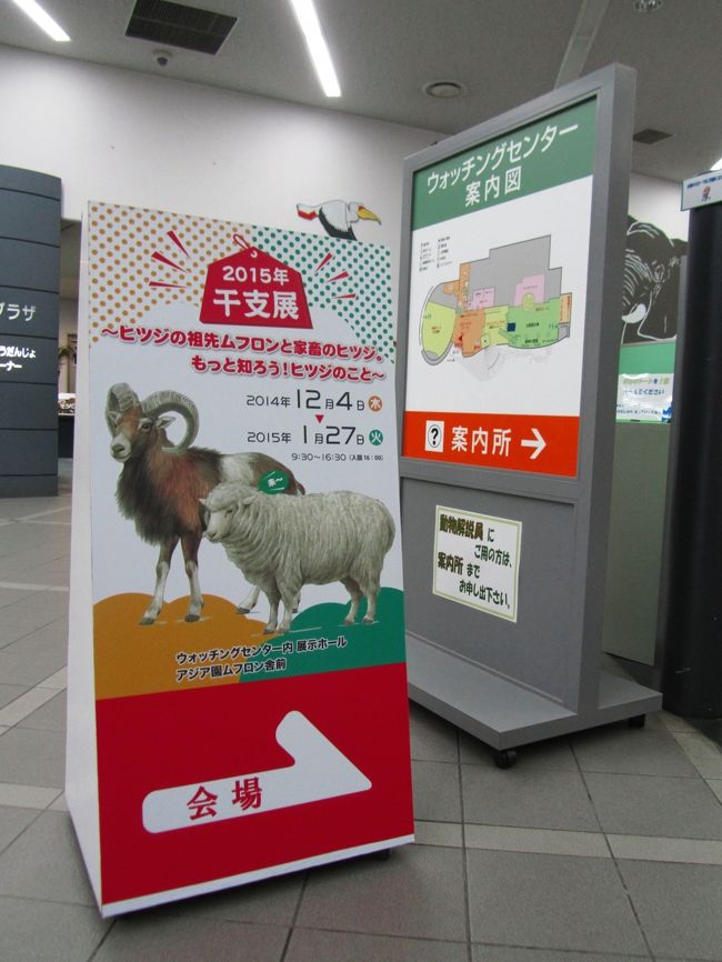 クリスマスシーズンは動物園とイルミネーション １ 多摩動物公園の干支に因んだヒツジの祖先のムフロン展 動物園いろいろ 本日のグルメ編 日野 昭島 東京 の旅行記 ブログ By まみさん フォートラベル