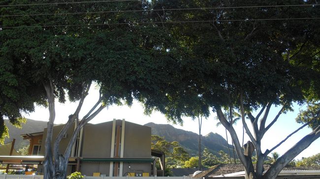 レインボートロリーのバス停へ戻る道路からダイヤモンドヘッドが見えます。<br />