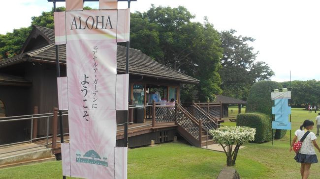 11:25　シェラトンプリンセスカイウラニの向かいにある<br />ハイアットリージェンシー集合　オプショナルツアー<br />「午後からゆっくりノースショア＆サンセット」利用<br />HISのサイトから35周年記念キャンペーンで35％OFF<br />1人45.5＄（約5,400円）他のサイトでは70＄前後するのでかなりお得です。<br />HISのオプショナルツアーは期間限定でキャンペーンがあるので<br />タイミングよく時期があえば、とてもお得なプランがあります。<br /><br />2人から催行で、この日は2人だけで貸切です。ラッキー！<br />まずは、DONGURIさん希望のモアナルア・ガーデンから・・<br />一応、スケジュールはこの後<br />・ドール・プランテーション<br />・海がめビーチ<br />・ハレイワタウン<br />・サンセット観賞<br />