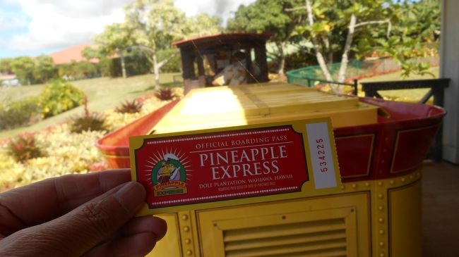 パイナップル・エキスプレスに乗って広大なパイナップル畑を周遊<br />2人で17.8＄