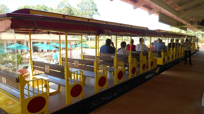 この列車の先頭に乗車