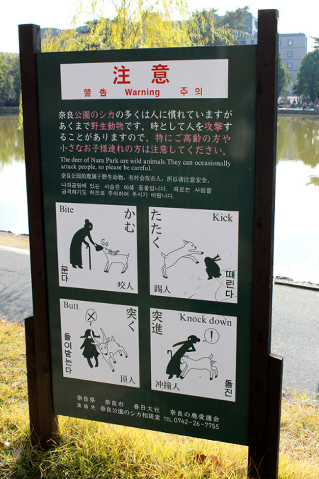 近鉄奈良駅に到着してから、実はいきなり<br />お昼ごはんを食べました!<br />（＾ё＾）<br /><br />いきなり??? （」°ロ°）<br />うん。いきなりっ!（＾ё＾）<br /><br />しかもお肉!<br />まずはご飯を食べて、それから<br />いざ…いざ…てな感じでさ。<br /><br />で、まずは春日大社へ。<br />道すがらこんな面白い看板を見つけましたよ。<br /><br />シカ…かなりにどう猛なのかな…と<br />不安がよぎります。<br /><br />うん。<br />バニバニってば、動物は見るのが好きだけど<br />実際に合ったり触ったりがなかなかないので<br />ちょっとコワいのだな。<br /><br />うんうん。