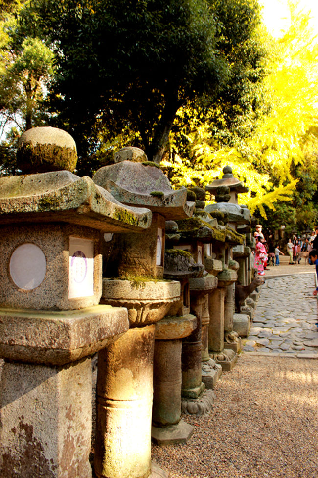 第2の鳥居??みたいなのを通って…<br />多分あとちょっとで本殿みたいなときに<br />こんな感じに灯籠が並んでて…。