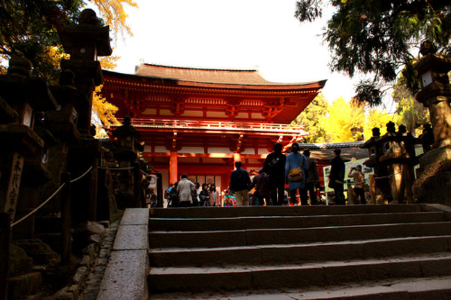 さてさて、やっと辿り着きましたっ!<br /><br />何分歩いたんだろ…。<br />結構ね、歩いたよ。<br /><br />歩きが苦手な人は要注意かもね。<br />車も入れない場所なので。<br /><br />バニバニは体力ないけど、<br />歩くの大好き!なので全然大丈夫な感じで<br />進みます。<br /><br />ずんずん。ずん。と。<br /><br />普段座って仕事、ほとんど動かないのだけど<br />なぜか旅行のときは全然歩けちゃう。