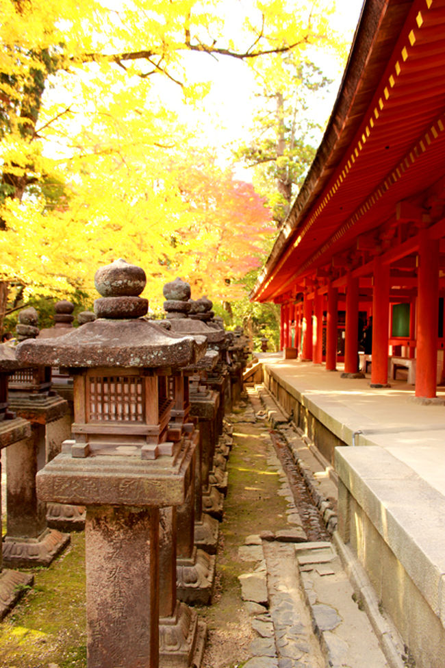 朱塗りの建物の入り口あたりで<br />わんさか人がいて写真を撮りまくって<br />いたので、同じ場所で撮ってみたよ。<br /><br />うん。(´・-・`)<br />下手。<br />うん。(´・-・`)