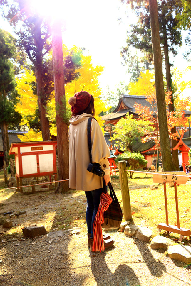 銀杏とバニバニ。<br />秋っぽい佇まいになっているかな〜。<br /><br />11月末だというのにこの日は<br />すっごく暑くて、マフラーも<br />ほどいて…ときどき上着も脱いだり…。<br /><br />ということで素晴らしい晴天。<br />素晴らしい気温で、良い旅行日和ですよ。