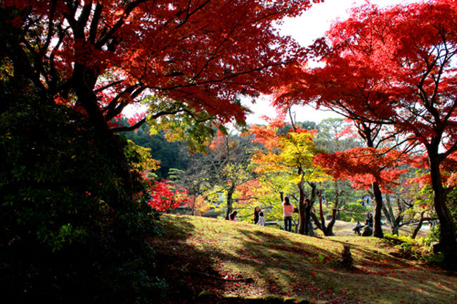 奈良公園を通って東大寺に行く途中。<br />見事な紅葉!<br />(*´ω｀*人)<br /><br />女子たちがわんさか。<br />きゃっきゃとしています。<br /><br />近づくぞーっ!<br />女子たちっ気をつけて気をつけてぇー!