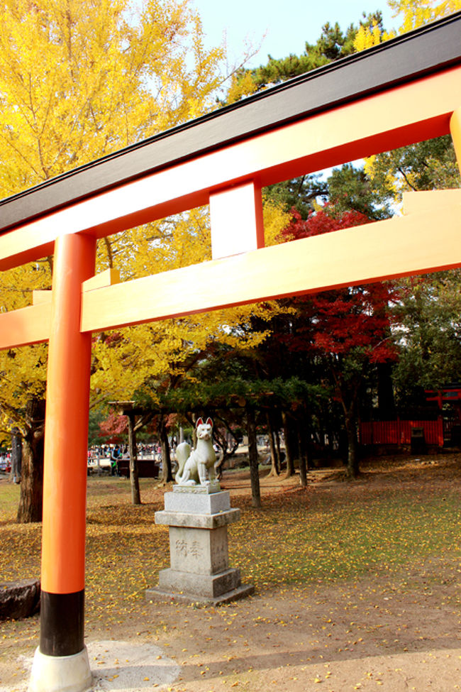 途中、こんな鳥居ときつねの像がありました。<br />何だろ。<br /><br />ちらっと近づいてみます。