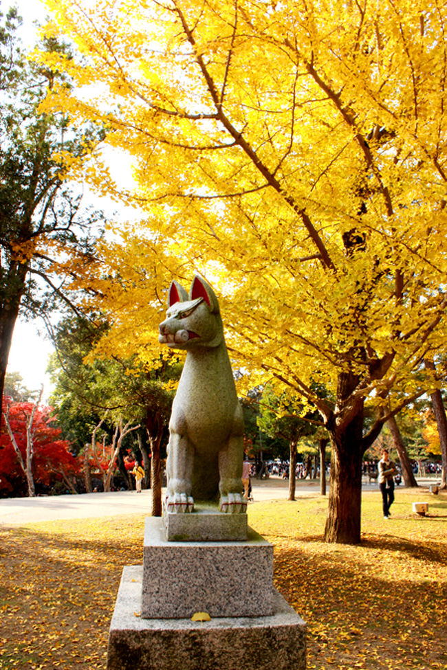 きつねの像と銀杏。<br /><br />ステキな感じ。<br />(*´ω｀*人)