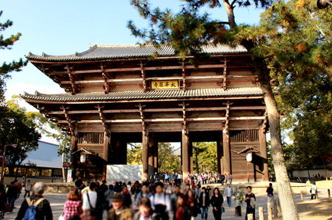 さてさてそんな感じでずんずんと奈良公園を<br />進んでいますと、何やら門?が。<br /><br />この先に東大寺があるので<br />心がドキドキです。<br /><br />いよいよ。<br />いよいよだよっ。