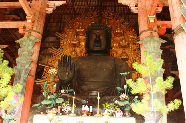 デーン!!<br />大仏っちゃんっ!!<br /><br />馴れ馴れしくて大変失礼なのだけど、<br />親しみを込めて「大仏っちゃん」と<br />呼ばせてもらうっ。<br /><br />ステキすぎー!<br />迫力すごいーー!<br /><br />そして、人もすごいわんさかなのだよ。<br />写真撮るのもなかなかに大変。