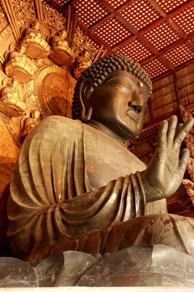 デーン!<br /><br />横顔っ。<br />神々しい〜。<br /><br />うん。<br />大仏っちゃんだからねっ。