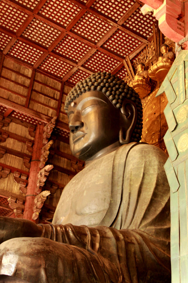 デーン!<br /><br />さらに横顔っ。<br /><br />大仏っちゃんの周りを<br />ぐるりと一周できるのだ。<br /><br />大仏っちゃんとは違う反対側にも<br />いろいろあったんだけど、<br />大仏っちゃんばっか見てたー。<br /><br />お土産屋さんも全く見てなかったよ〜。