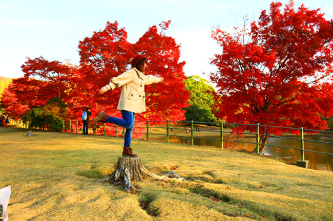 切り株の上で浮かれるバニバニ。<br />ちょっと妖精っぽくって<br />思ったポーズが全然妖精っぽくなってない!<br /><br />それよりちょっと林ナツミさんの<br />「浮遊少女」みたく撮ってみたかったけど、<br />結構ムズイのだ。<br /><br />ちゃんとシャッタースピードも調べたんだけど<br />このあともなかなかうまくいかない。