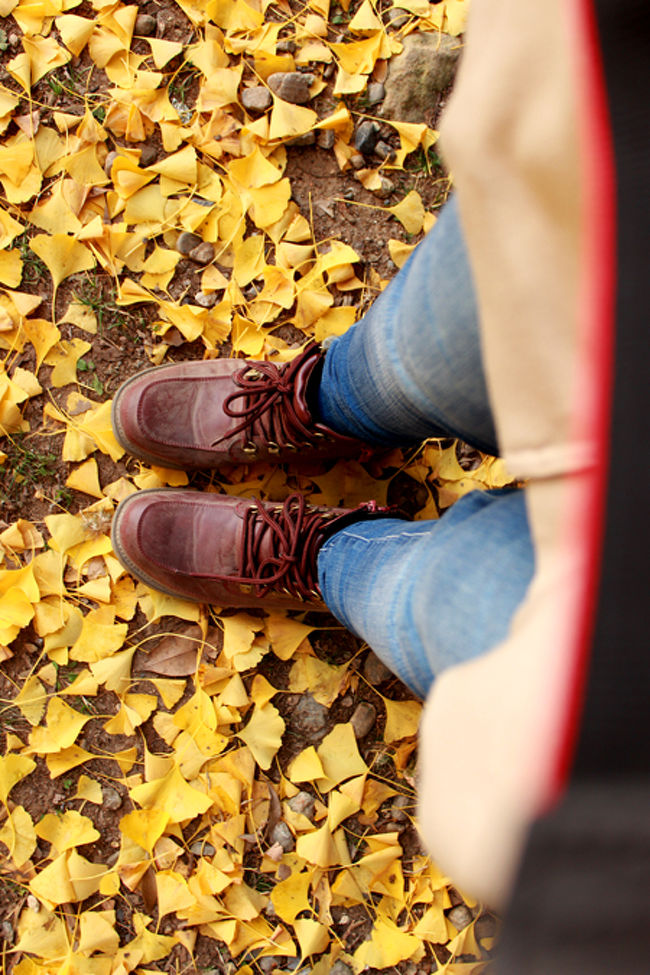 ジャイ子の足下。<br /><br />せっかくのお気に入りでペカペカの靴が<br />すっかり汚くなってしまいました。<br /><br />足デカさんでなかなかサイズがないのだ。